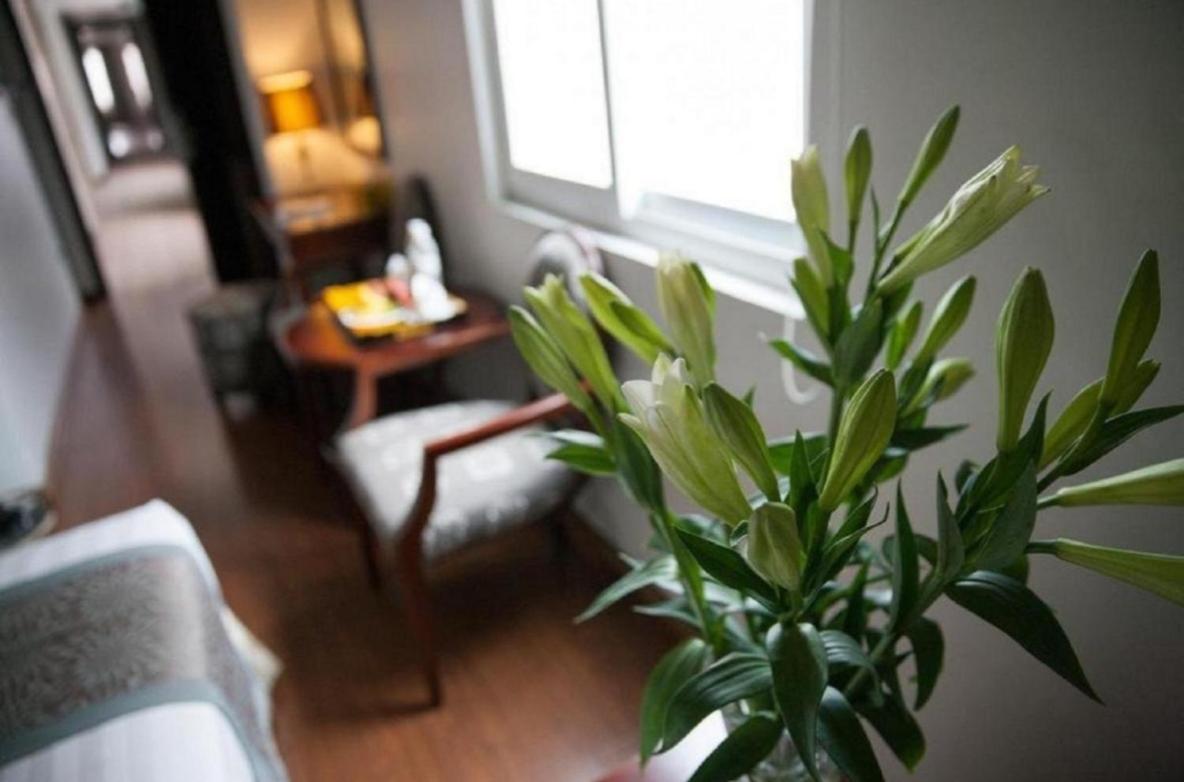 Skylark Boutique Hotel Ανόι Εξωτερικό φωτογραφία